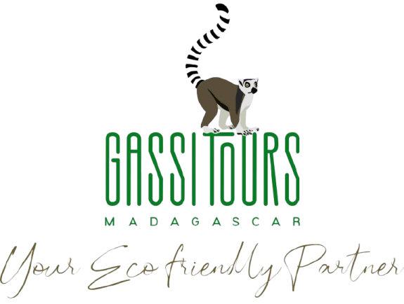 gassi